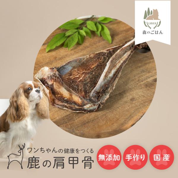 【森のごはん】鹿の肩甲骨 国産 無添加 犬用おやつ/犬 おやつ/犬のおやつ ボーン 鹿骨 デンタルデ...