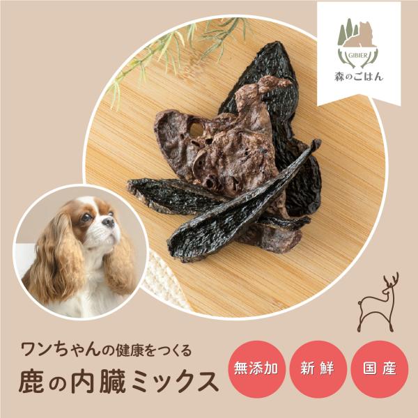 【森のごはん】鹿の内臓ミックス 45g 犬用 無添加 国産 手作り アレルギー対策 健康づくり おや...