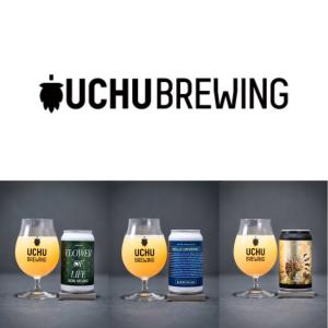 うちゅうブルーイング 350ml 飲み比べ 6本セット クラフトビール