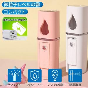 スチーマー フェイススチーマー 美顔器 顔 エステ 保湿