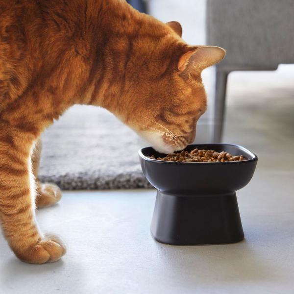 ペットフードボウル 山崎実業 正規品 nooks ヌークス 食べやすい高さ陶器ペットフードボウル ペ...