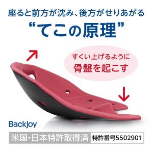 骨盤矯正 姿勢矯正 公式 バックジョイ ポスチ...の詳細画像4