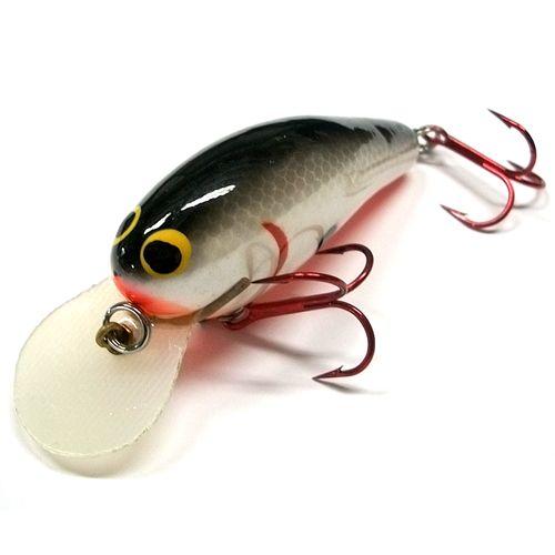 Bagley/バグリー　G-Force/キラーB　基板ラウンドリップモデル