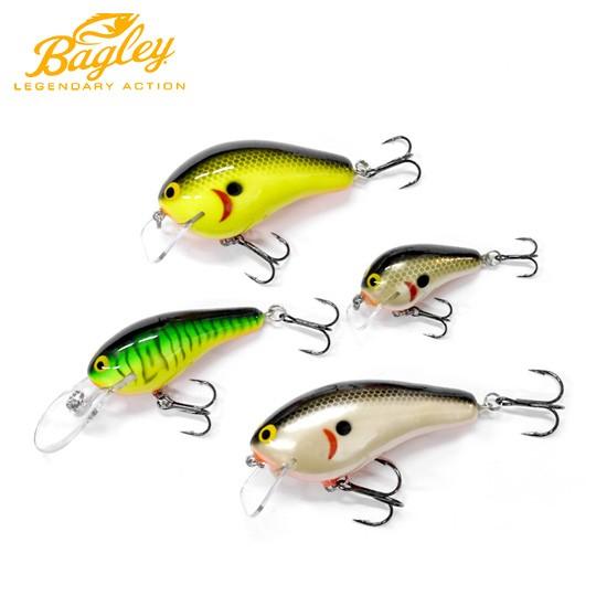 バグリー　クラシックキット　Bagley CLASSIC KIT