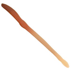 クリーム　スカンドレル　6inch　＃ライブ　CREME Scoundrel