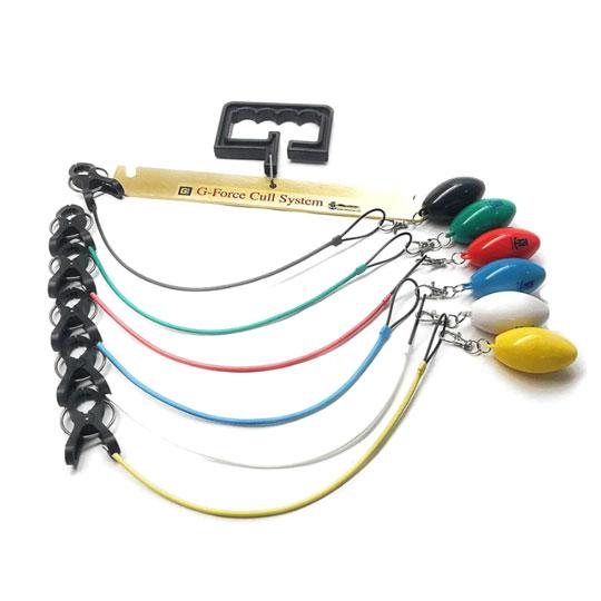 THマリン　Gフォース　コンサベイション　カルシステム　GEN2　【903061】