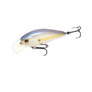 WooDream Akiya Popper 250 ウッドリーム アキヤ ポッパー : Fishing