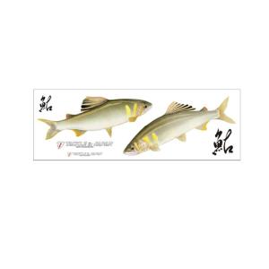 目玉商品】 釣武者 RANRYU(ランリュウ) (90 IV) 鮎竿(5) 【Σ05