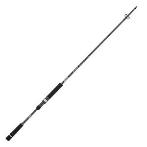 シマノ（SHIMANO） 21 ディアルーナ BS B63H ベイトモデル / ボート