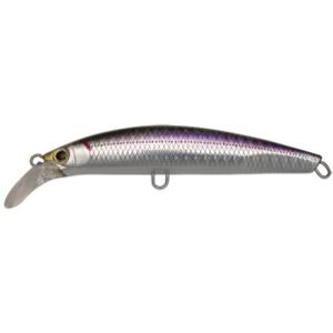 Jackson（ジャクソン） ジェスター JSC-66TL-P+ Jackson JESTER