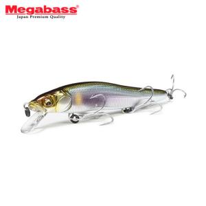 Megabass（メガバス） VISION ONETEN FA GHOST WAKASAGI : CURIOSITY