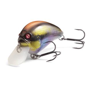 Megabass メガバス POPMAX ポップマックス (SP-C) (24年大阪商談