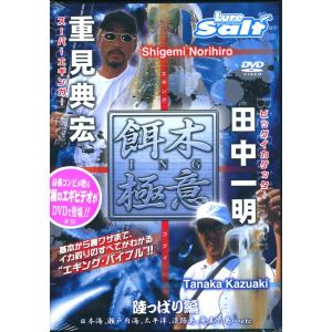 【DVD】ルアーマガジン　ソルト餌木ING極意/田中一明