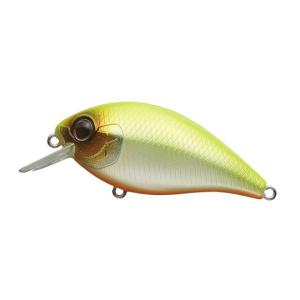 EverGreen（エバーグリーン） 【WEB本店11月限定P10倍】【全20色