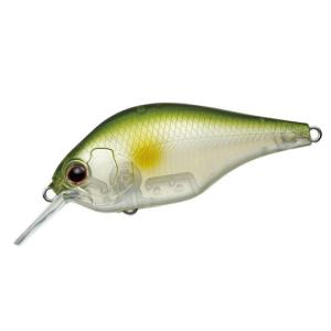 EverGreen エバーグリーン ワイルドハンチ SR 【2】 : バック