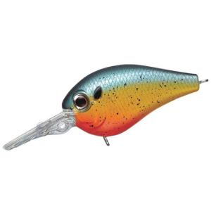 EverGreen（エバーグリーン） 【全12色】エバーグリーン ゼルクプティ