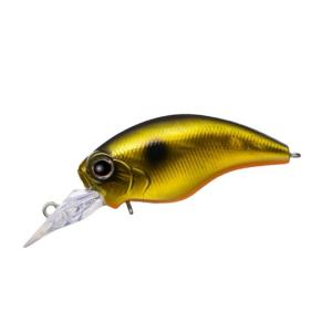 EverGreen 【全12色】エバーグリーン ゼルクプティ ZERUCH Petit