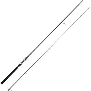 モアザン ブランジーノ EX AGS 98M/MH ダイワ : グッドフィッシング