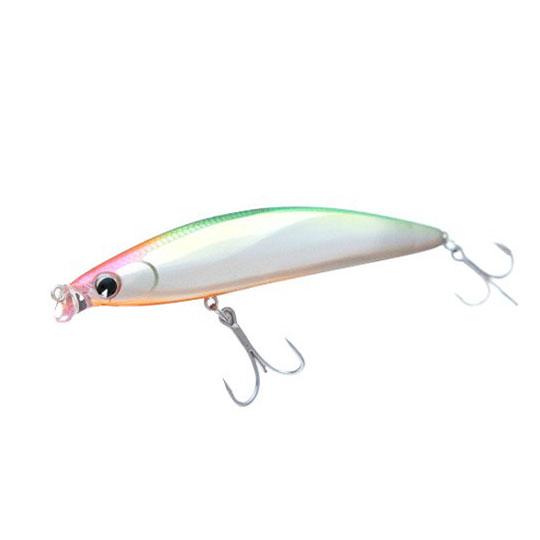 アイマ　アイボーン118F　シャロー