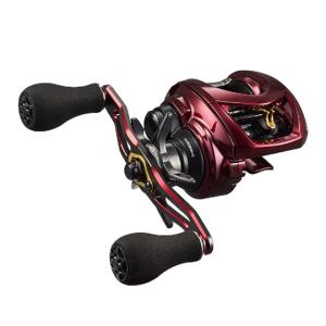 DAIWA（ダイワ） ベイトリール ジリオン TW HD 1000XHL 左ハンドル [22