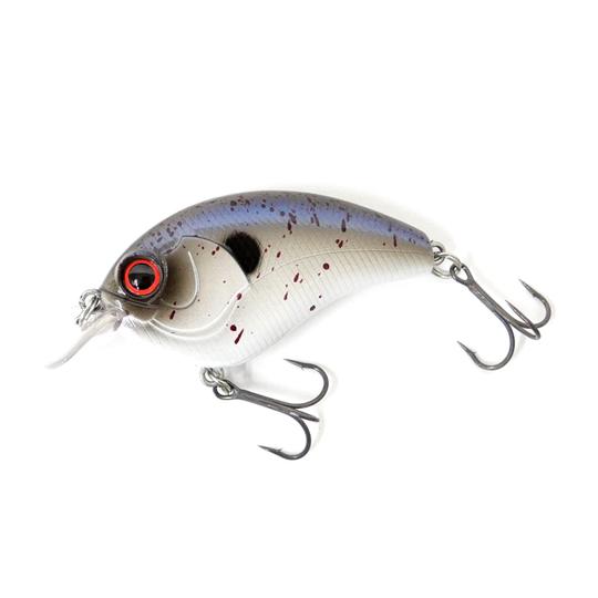 ミブロ　チーター【2】