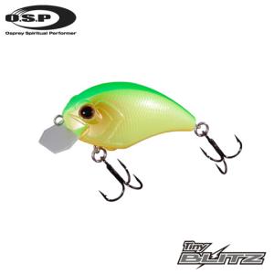 RAID JAPAN（レイドジャパン） ダッジ 【2】 : バックラッシュYahoo!店