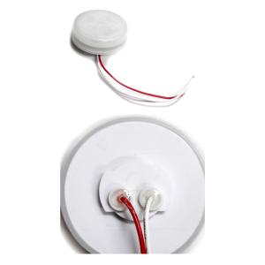 ブラストトレイル ラウンド型LEDランプ クリ...の詳細画像2
