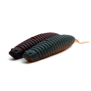 DSTYLE/ディスタイル GEELACANTH 4inch/ギーラカンス 4インチ Feco認定