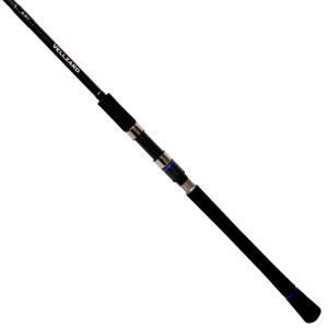 ダイワ 極鋭マルイカ レッドチューン AGS MC 25_1.jpg