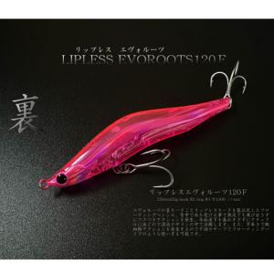 BLAZEYE  ブレイズアイ　エヴォルーツ120F 10個セット　 ケース付き ブレイズアイ エヴォルーツ120F : ウインズヤフー店 - 通販 - Yahoo