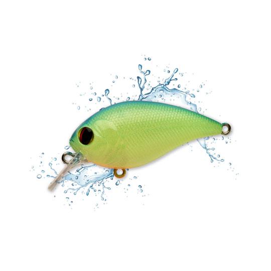 【全19色】ペイフォワード　ワンエイト　SR　PayForward　ONE EIGHT SR　