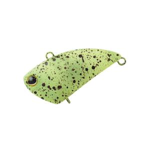 ティモン タップダンサー21個セット ティモン タップダンサー21個