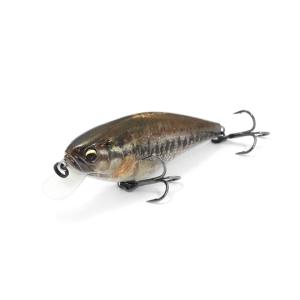 シマノ（SHIMANO） セフィア CI4＋ S803L : 釣具屋 セクター