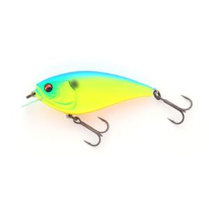 アブディール スラープアシッドSLURPACID GP : ウインズヤフー店