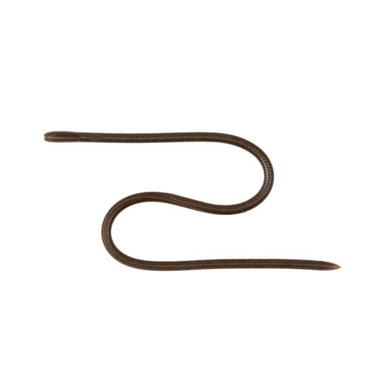 イマカツ　スキニーイールクローラー　エラストマー　12inch