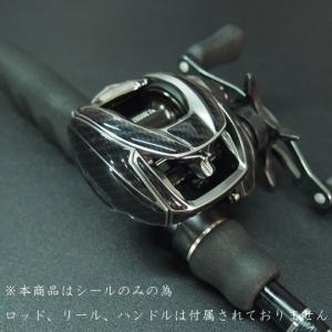 ワーニーズ プロテクションデカールキット 21ジリオン/22ジリオン用 半透明カラー WANEES