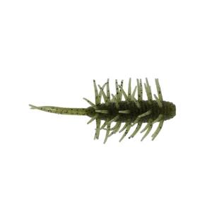 HIDEUP（ハイドアップ） コイケシュリンプCoike Shrimp : ウインズ