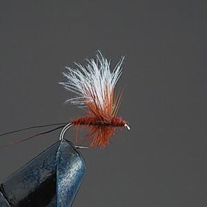 バレーヒル 完成品ドライフライ D2 CDCソラックスダン BR Valleyhill COMPLETE FLYの商品画像