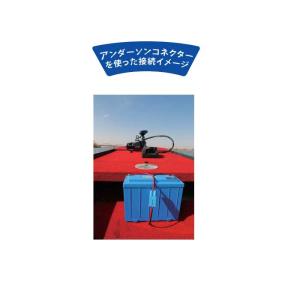 リチビー アンダーソンコネクター 片側セット ...の詳細画像3