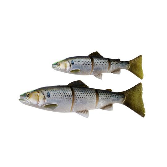 サベージギア　3Dラインスルートラウト　SS　15.75inch