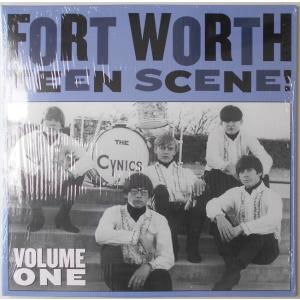 ■新品■V.A./Fort Worth teen scene! vol.1(LP)｜backpagerecords