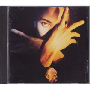 ■中古品■Terence Trent D'arby テレンス・トレント・ダービー/neither fish nor flesh(USED CD)｜backpagerecords