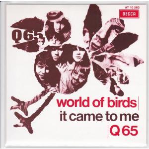 ■新品■Q65/world of birds + it came to me(7 INCH SINGLE) Tell-Tale Hearts｜backpagerecords