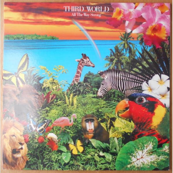 ■中古品■Third World サード・ワールド/all the way strong(USED ...