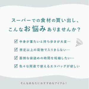 レジカゴ バッグ 保冷 リュック 通販 レジカ...の詳細画像1