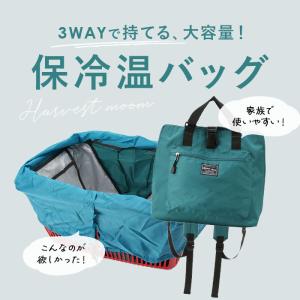 レジカゴ バッグ 保冷 リュック 通販 レジカ...の詳細画像2