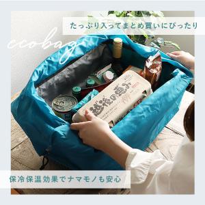 レジカゴ バッグ 保冷 リュック 通販 レジカ...の詳細画像3