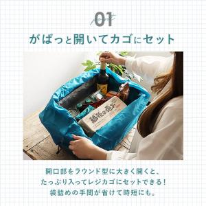 レジカゴ バッグ 保冷 リュック 通販 レジカ...の詳細画像5