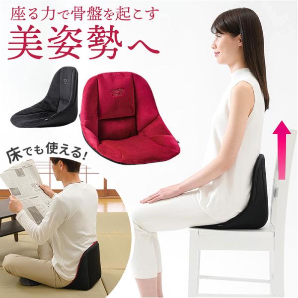 骨盤サポート チェア 姿勢矯正 通販 cosios Premium コシオスプレミアム ボードクッシ...