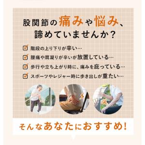 股関節サポーター 通販股関節サポーター 女性用...の詳細画像2